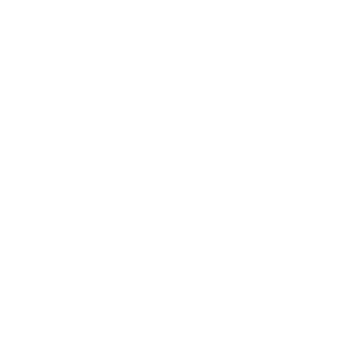 Blog & Insights